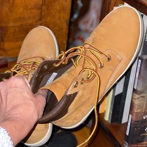 Timberland Dausette Sneaker Books